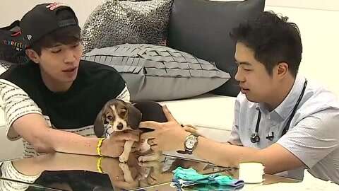 Roommate第一季_20140929期-狗狗黄瓜接受