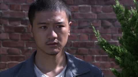 地火第28集-电视剧-高清正版视频