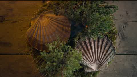 主厨的餐桌 第一季第1集-主厨的餐桌 交响乐-纪