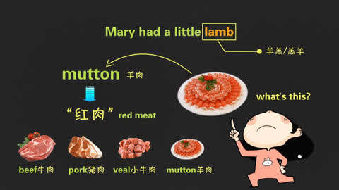 【学渣乐园】新概念英语3(上)第16集-【学渣乐