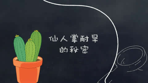 [寓乐湾]常见的植物第3集-仙人掌耐旱的秘密-教