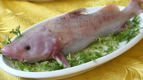 长江第一鲜 鮰鱼