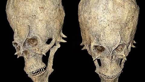 奇闻异录 远古遗留下的外星人化石