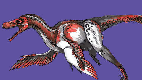 白白侠画画 恐龙世界 斑比盗龙