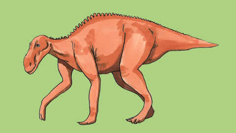 [母婴] 白白侠画画: 恐龙世界 慈母龙