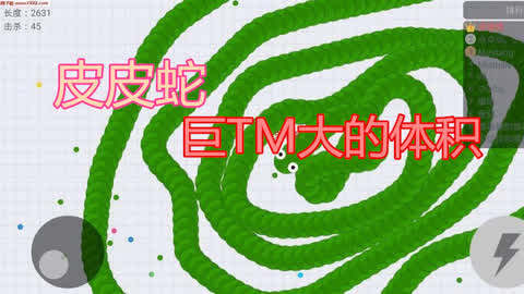 [游戏]刚哥贪吃蛇 贪吃蛇 巨大百年皮皮蛇