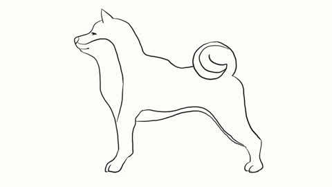 小林简笔画 可爱的柴犬儿童亲子简笔画