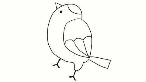 [母婴]小林简笔画 可爱的黄雀儿童简笔画