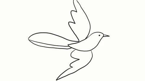 小林简笔画 简单的喜鹊儿童简笔画